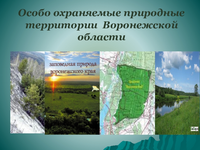 О создании на территории Воронежской области &quot;Дирекции особо охраняемых природных территорий&quot;.